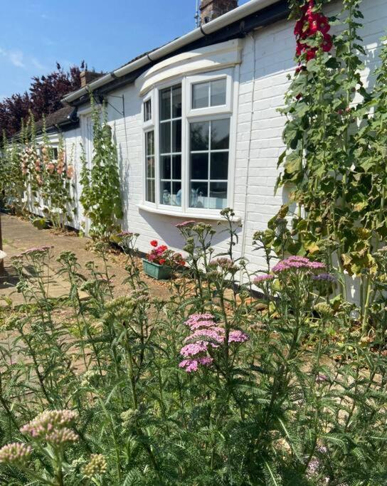 Field Cottage Whittlesey Zewnętrze zdjęcie